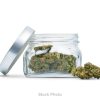 Brother - Flower - 3.54g - Indica - Gorilla Glue - DI